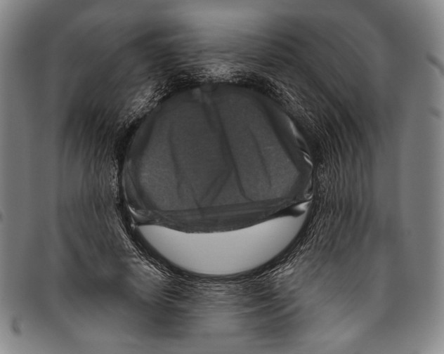 X0000096470642200802211151