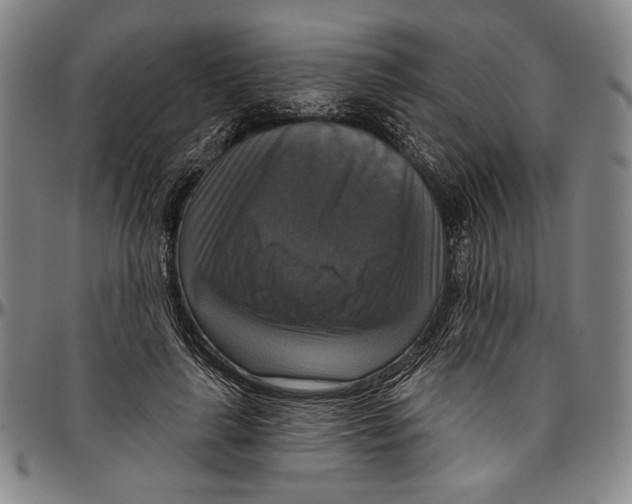 X0000096470643200802211151