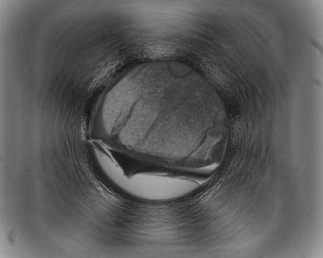X0000096470644200802211151