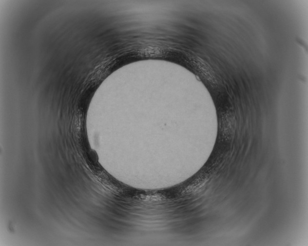X0000096470645200802211151