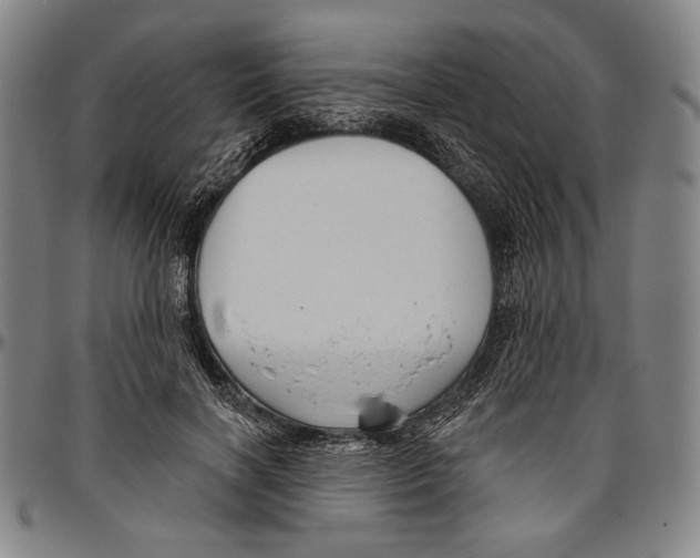 X0000096470646200802211151