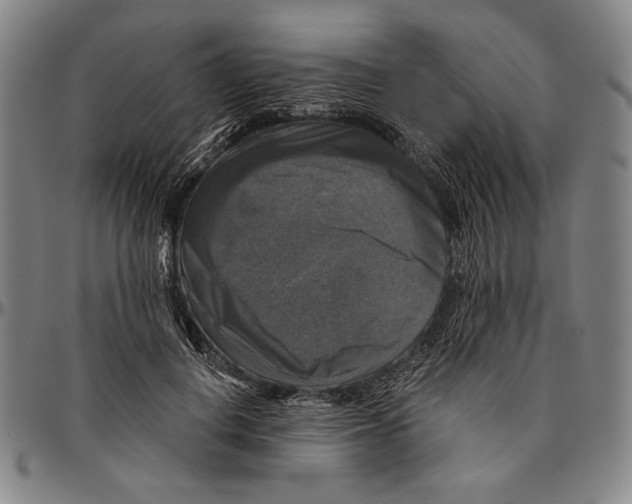 X0000096470648200802211151