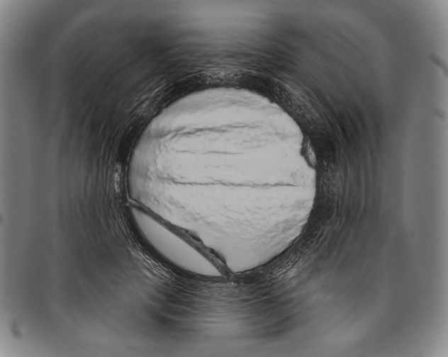 X0000096470649200802211151