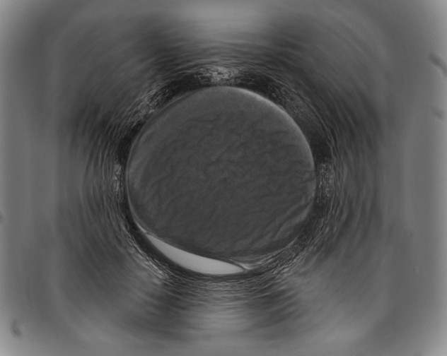 X0000096470650200802211151