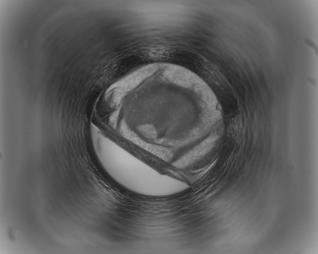 X0000096470651200802211151