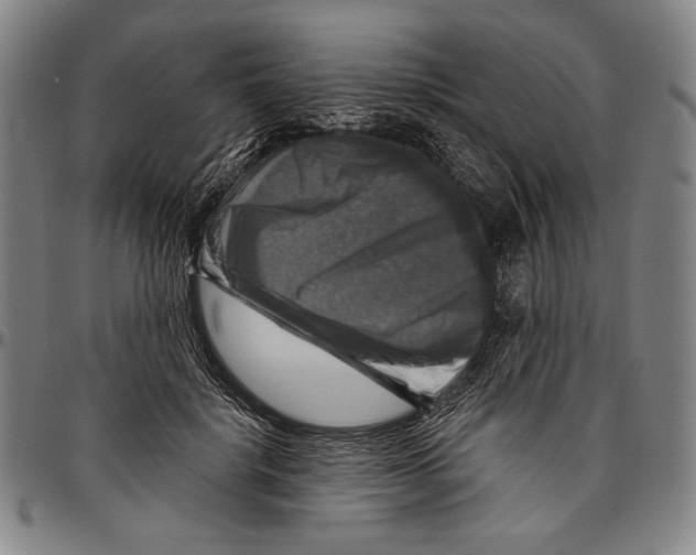 X0000096470652200802211151
