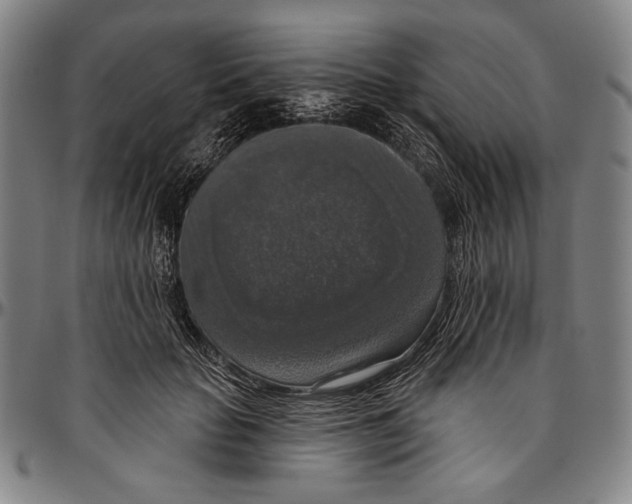 X0000096470653200802211151