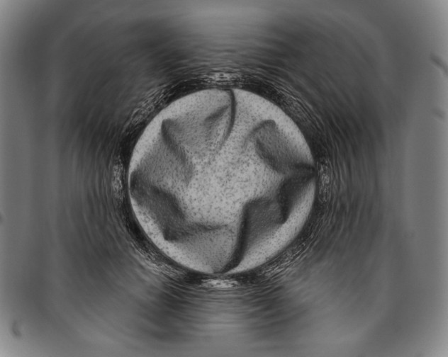 X0000096470654200802211151