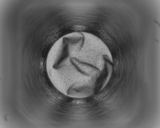 X0000096470655200802211151