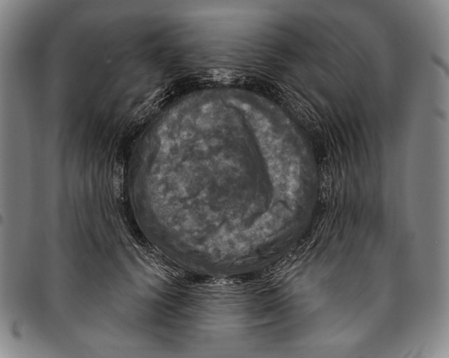 X0000096470656200802211151
