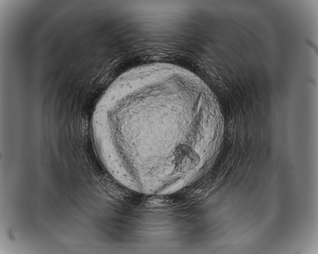 X0000096470657200802211151