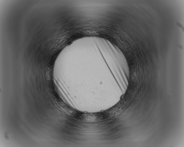X0000096470658200802211151