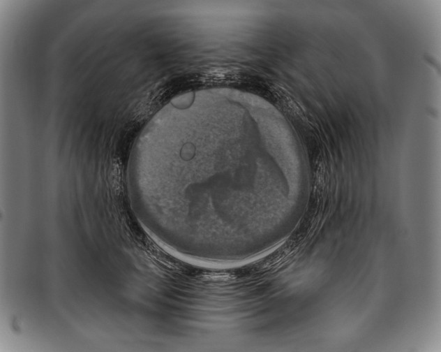 X0000096470659200802211151