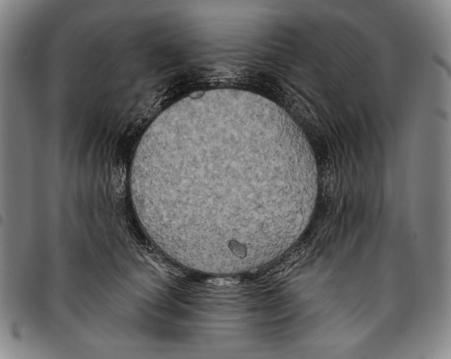 X0000096470660200802211151