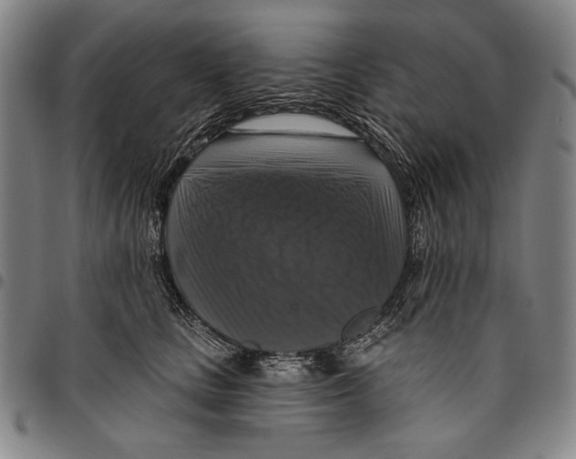 X0000096470661200802211152