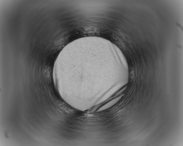 X0000096470662200802211152