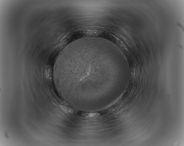 X0000096470663200802211152