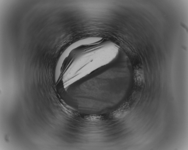 X0000096470664200802211152