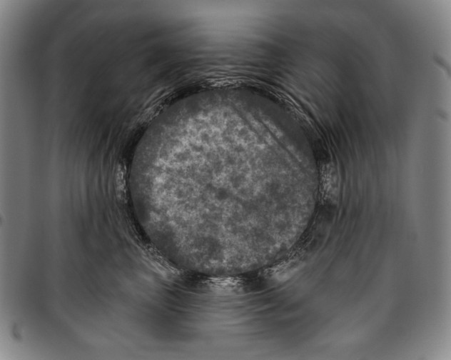 X0000096470667200802211152