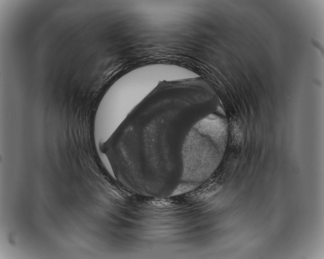 X0000096470668200802211152