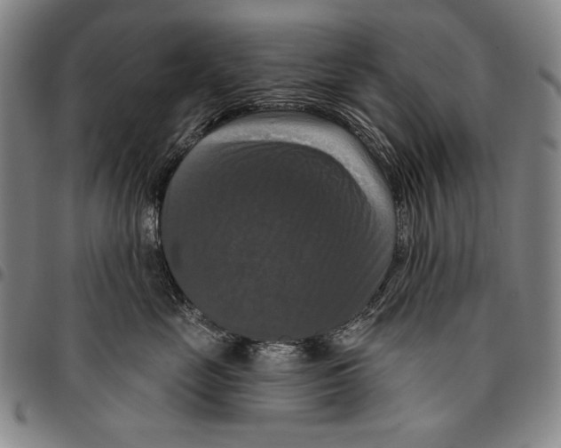 X0000096470669200802211152