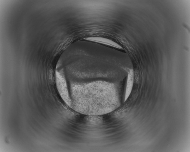 X0000096470670200802211152