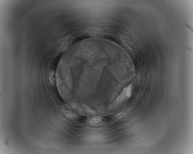 X0000096470671200802211152