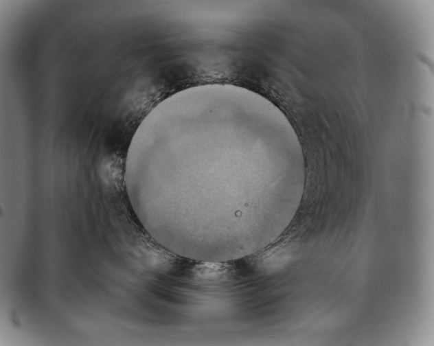 X0000096470672200802211152