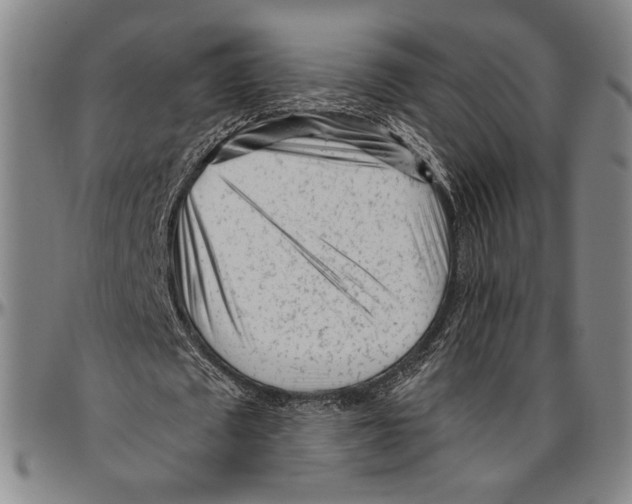 X0000096470673200802211151
