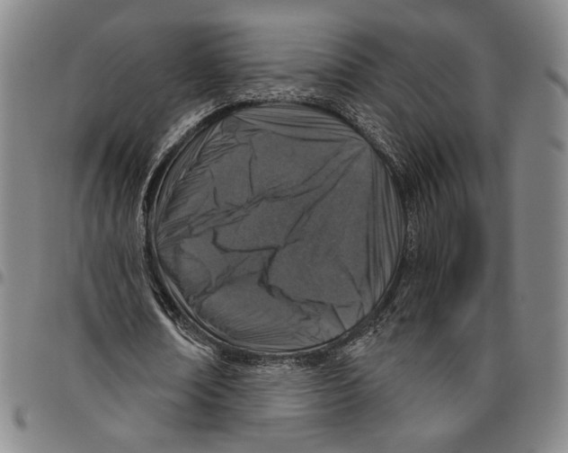 X0000096470674200802211151