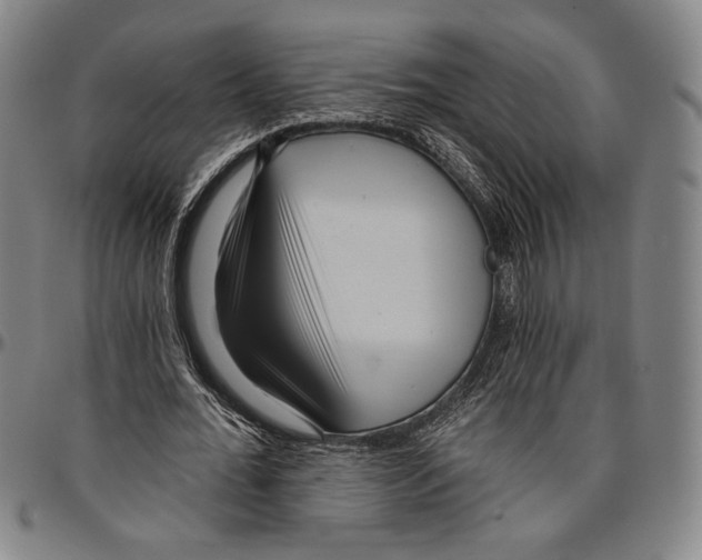 X0000096470676200802211151