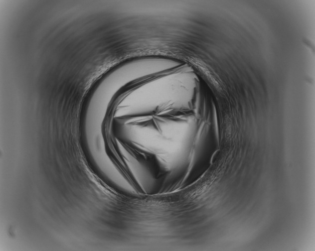 X0000096470677200802211151