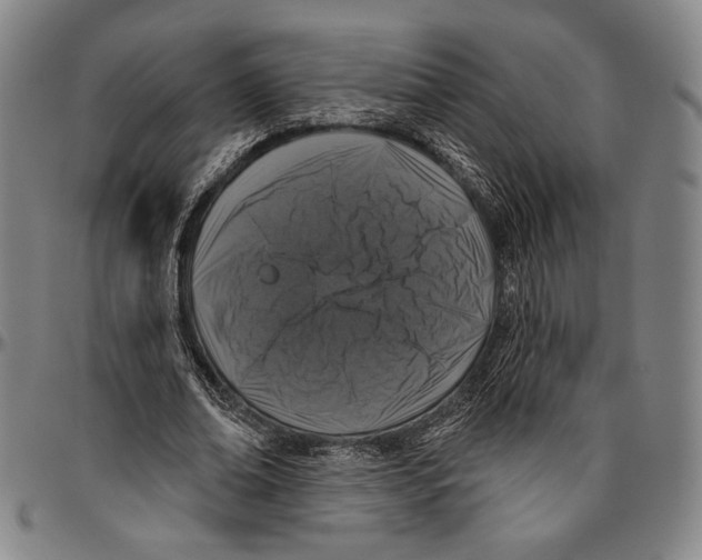X0000096470678200802211151