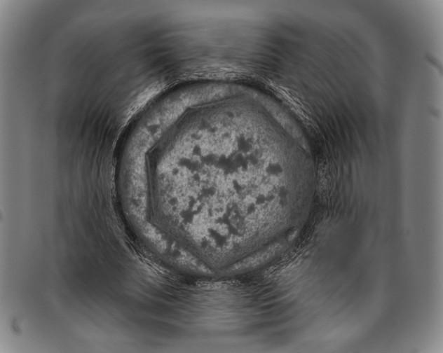 X0000096470679200802211151