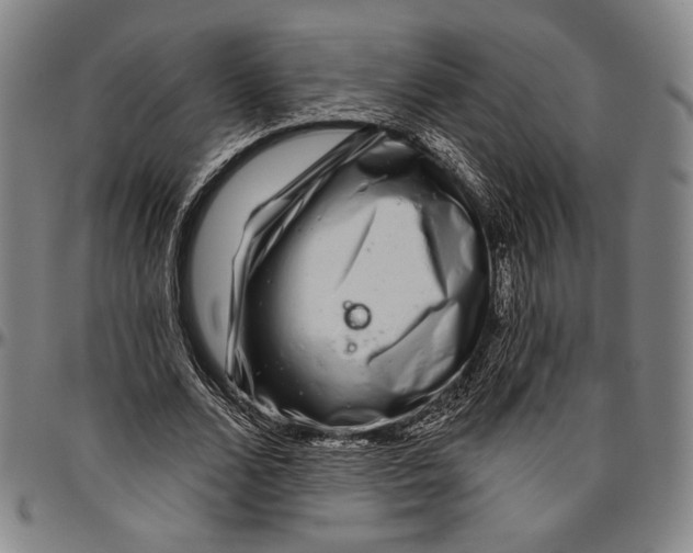 X0000096470680200802211151