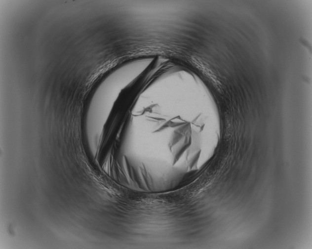 X0000096470681200802211151
