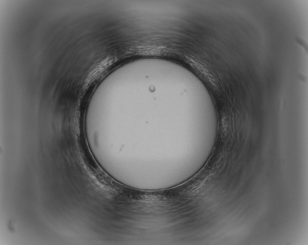 X0000096470682200802211151