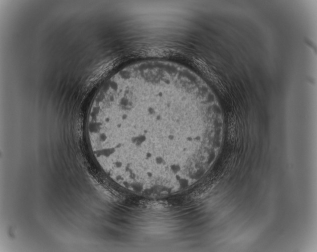X0000096470683200802211151