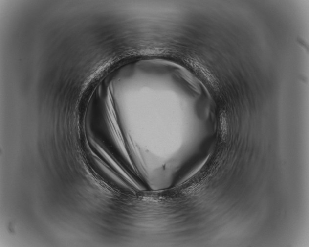 X0000096470684200802211151