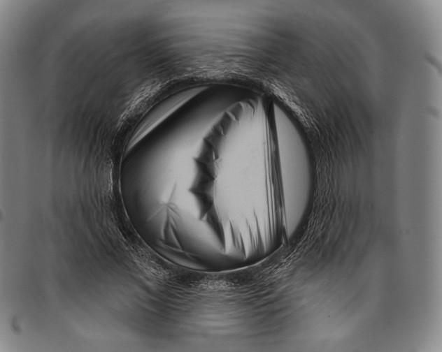 X0000096470685200802211151