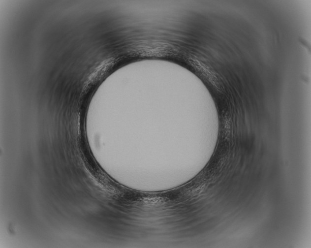X0000096470686200802211151