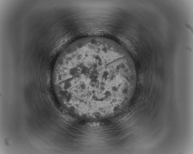 X0000096470687200802211151