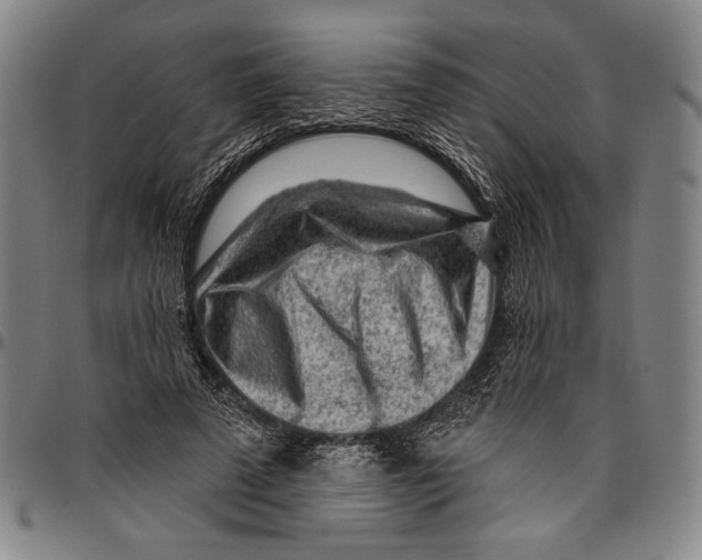 X0000096470689200802211151