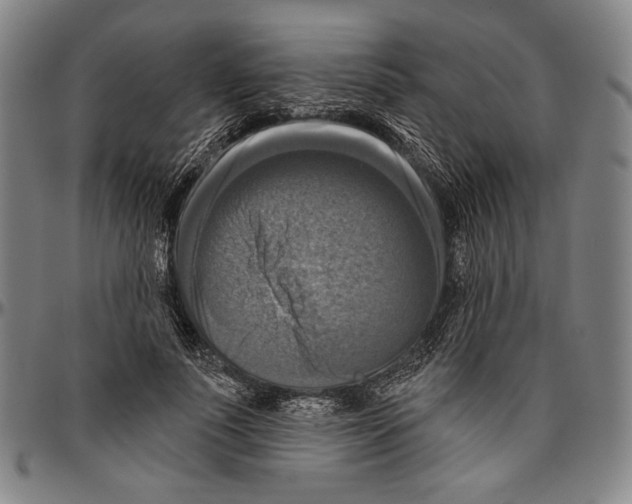 X0000096470691200802211150