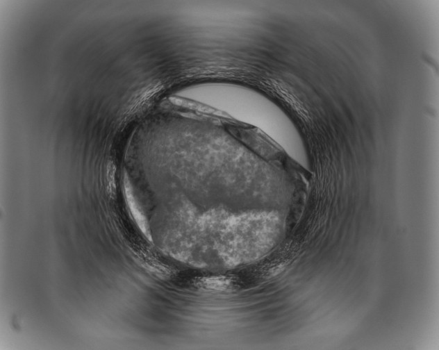 X0000096470692200802211150