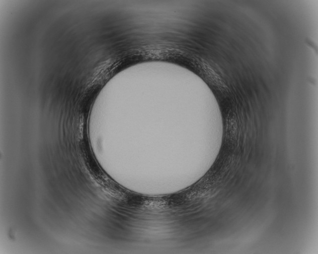 X0000096470694200802211150