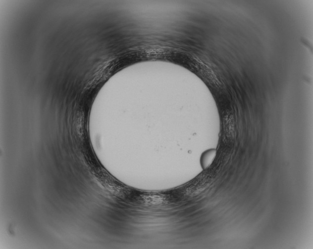 X0000096470698200802211150