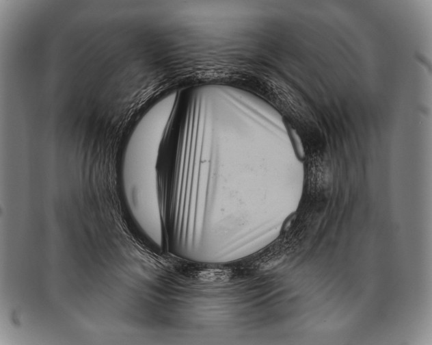 X0000096470700200802211150