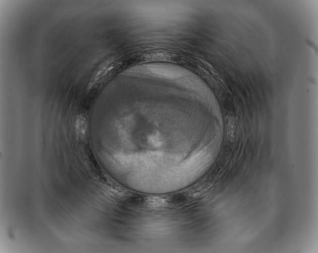 X0000096470701200802211150