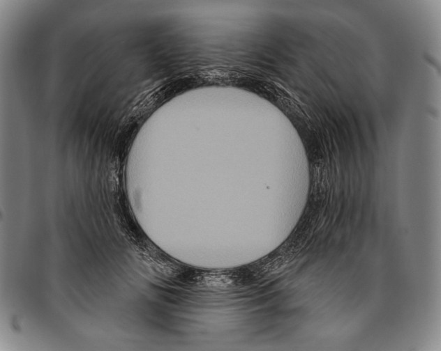 X0000096470702200802211150